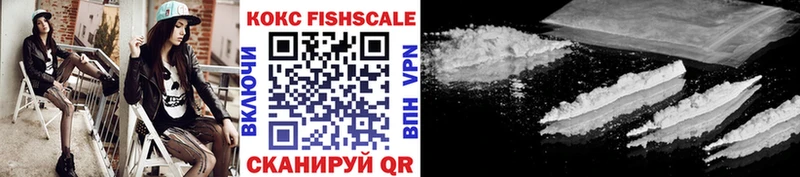 магазин    мега как зайти  Cocaine FishScale  мориарти формула  Новомичуринск 