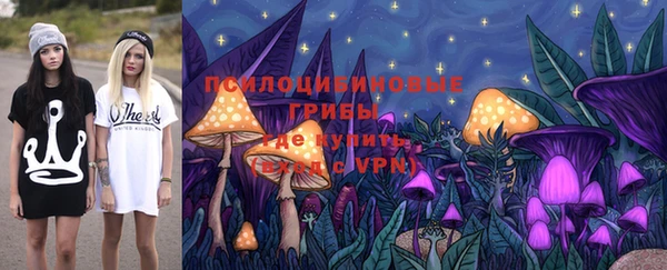 дмт Пестово
