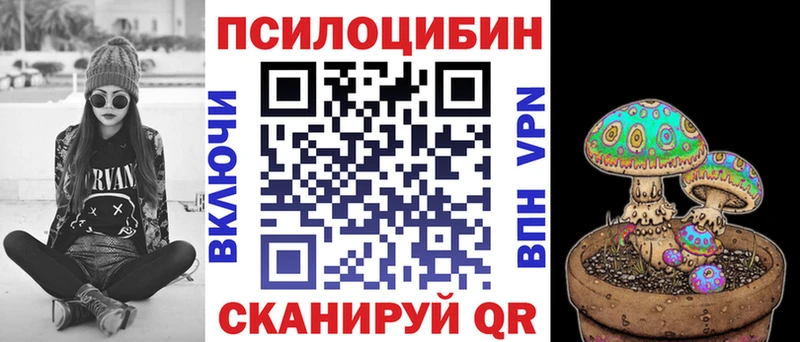 Псилоцибиновые грибы Magic Shrooms  МЕГА ССЫЛКА  Новомичуринск 
